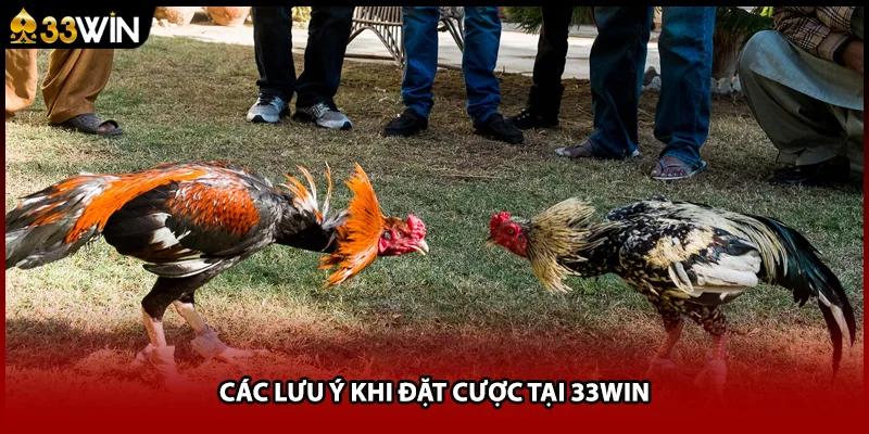 Các lưu ý khi đặt cược tại 33WIN