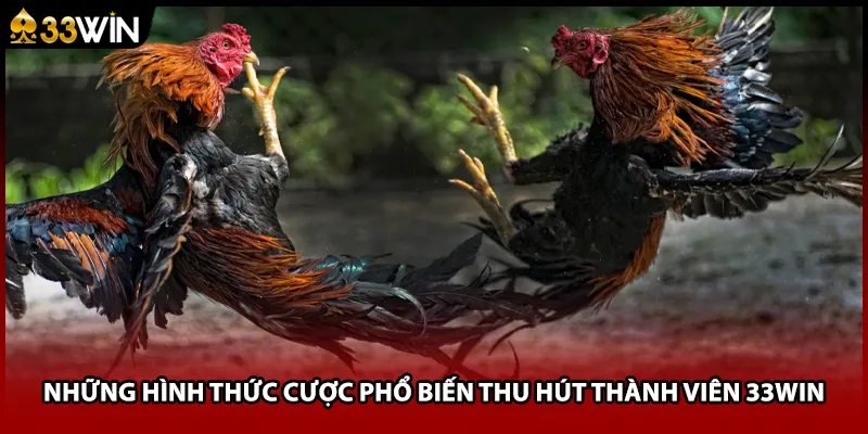 Những hình thức cược phổ biến thu hút thành viên 33WIN