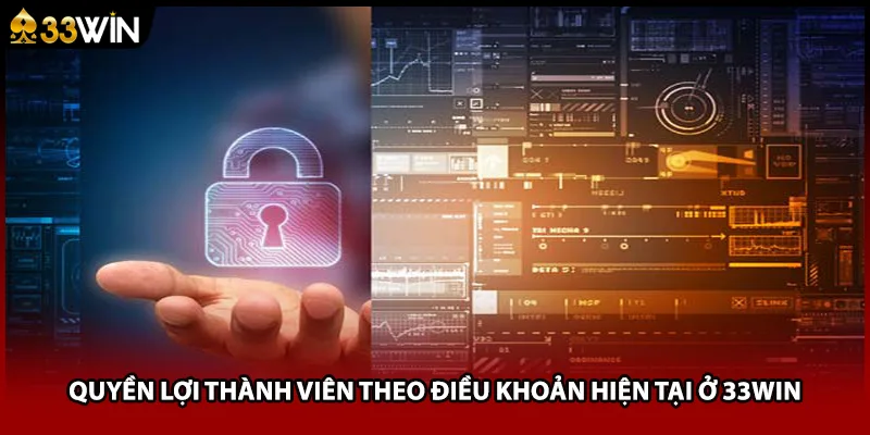 Quyền lợi thành viên theo điều khoản hiện tại ở 33WIN